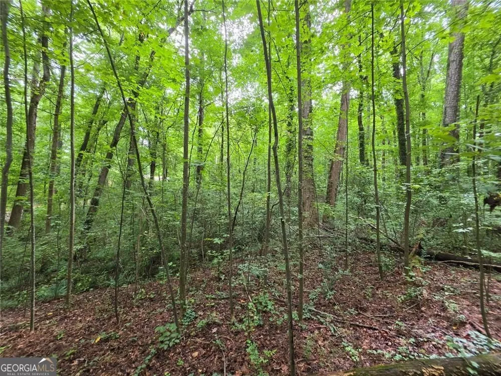 0 Brookwood DR Mableton, GA 30126
