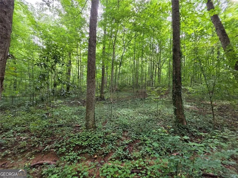 0 Brookwood DR Mableton, GA 30126