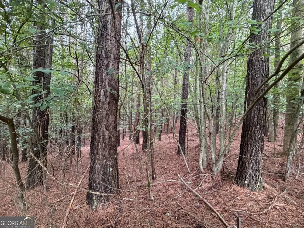 9 Foxpaw Leaf CT East Ellijay, GA 30536