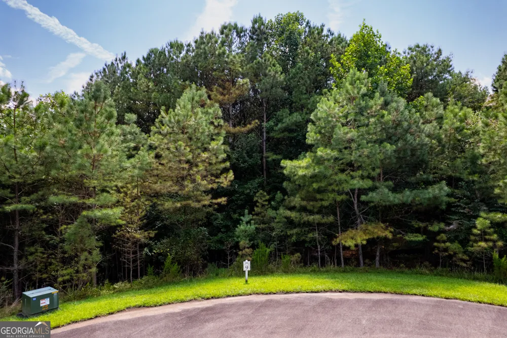 9 Foxpaw Leaf CT East Ellijay, GA 30536