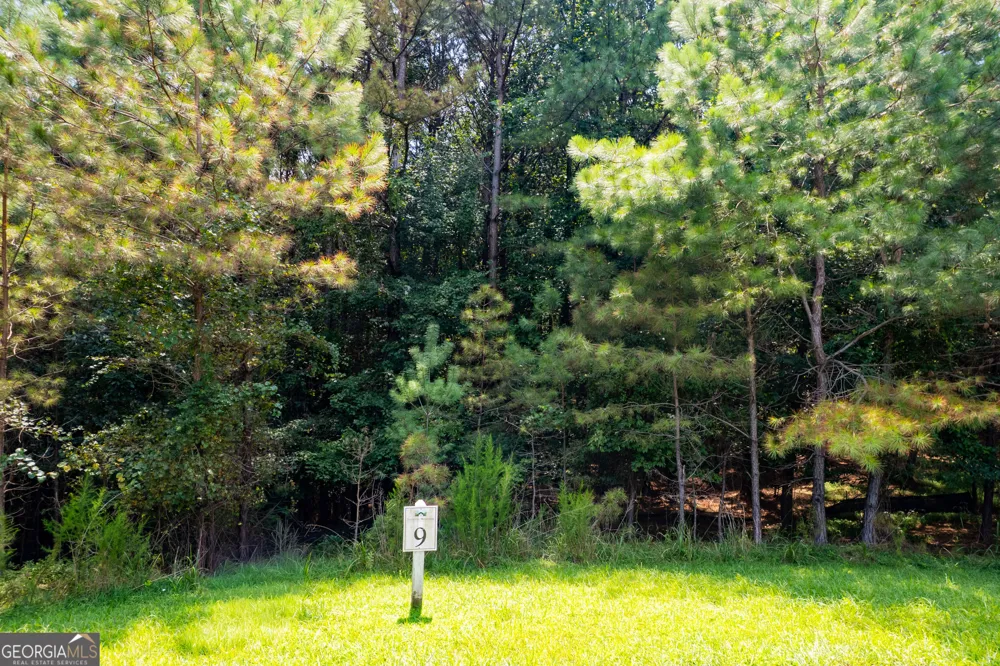 9 Foxpaw Leaf CT East Ellijay, GA 30536