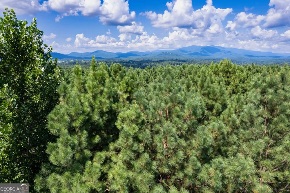 9 Foxpaw Leaf CT East Ellijay, GA 30536