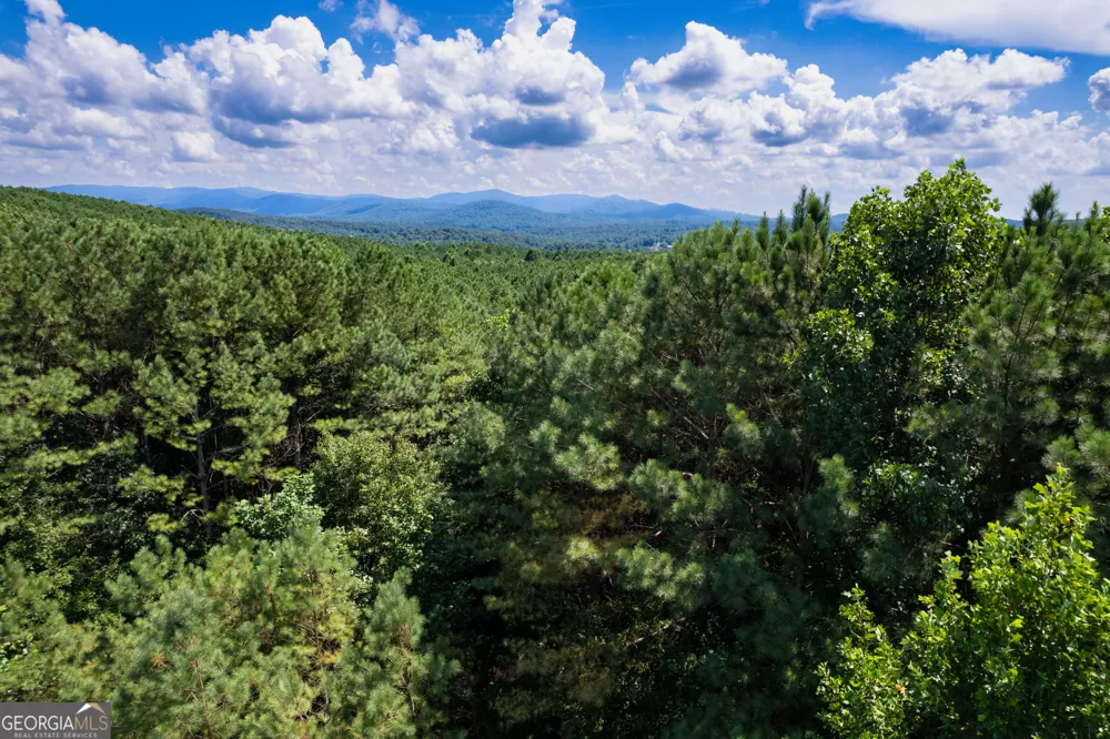 9 Foxpaw Leaf CT East Ellijay, GA 30536
