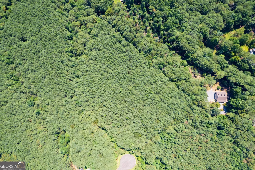 9 Foxpaw Leaf CT East Ellijay, GA 30536
