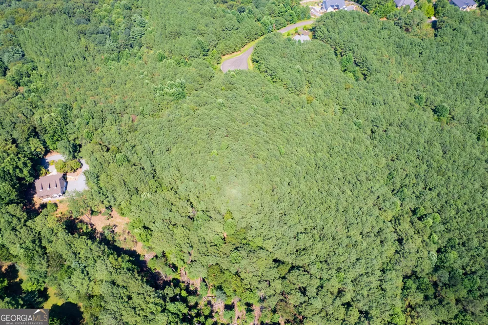9 Foxpaw Leaf CT East Ellijay, GA 30536