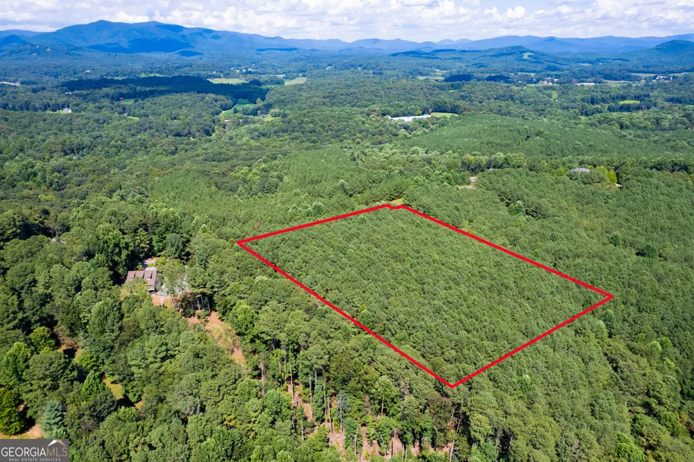 9 Foxpaw Leaf CT East Ellijay, GA 30536