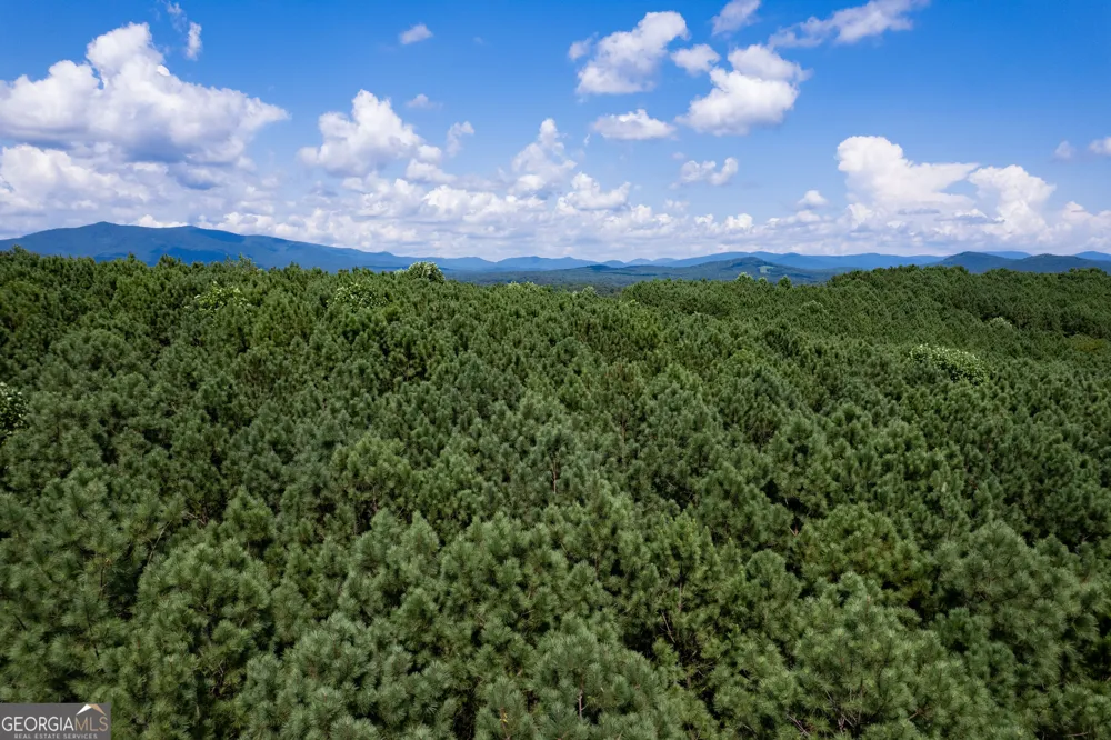 9 Foxpaw Leaf CT East Ellijay, GA 30536