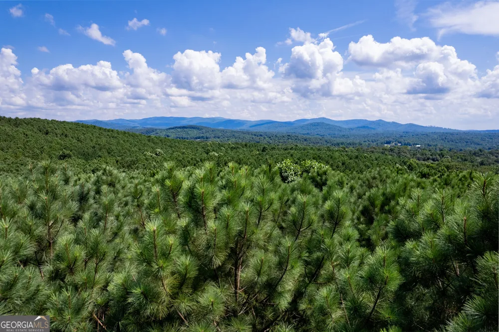 9 Foxpaw Leaf CT East Ellijay, GA 30536