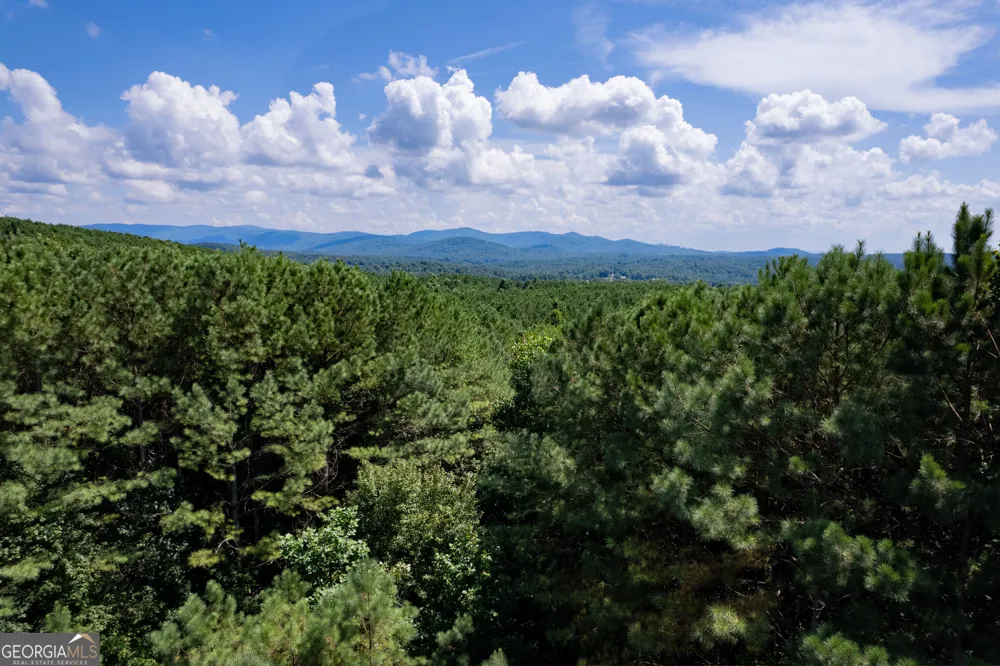 9 Foxpaw Leaf CT East Ellijay, GA 30536