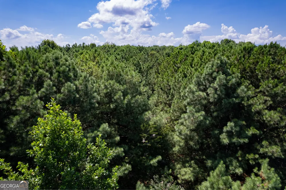 9 Foxpaw Leaf CT East Ellijay, GA 30536