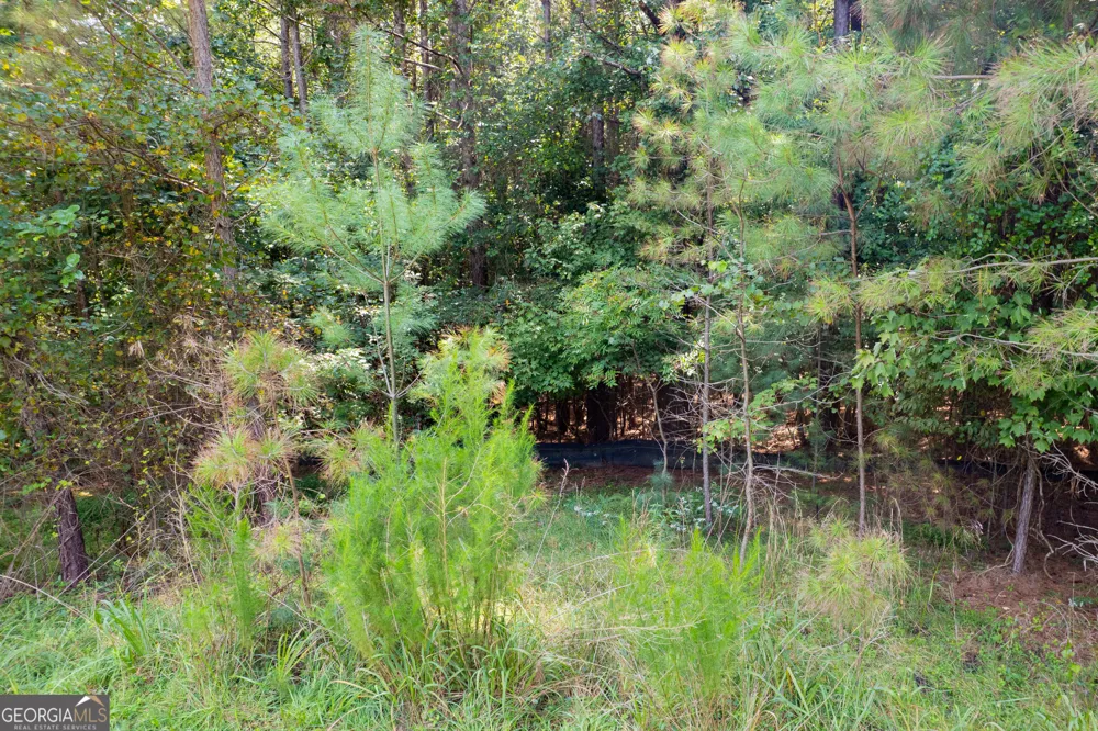 9 Foxpaw Leaf CT East Ellijay, GA 30536