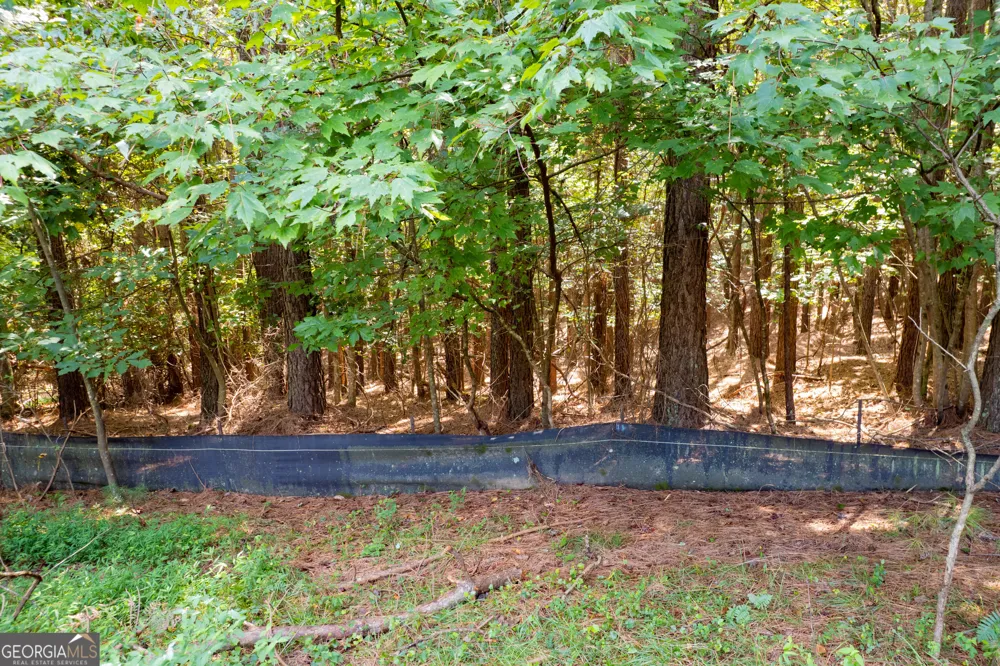 9 Foxpaw Leaf CT East Ellijay, GA 30536