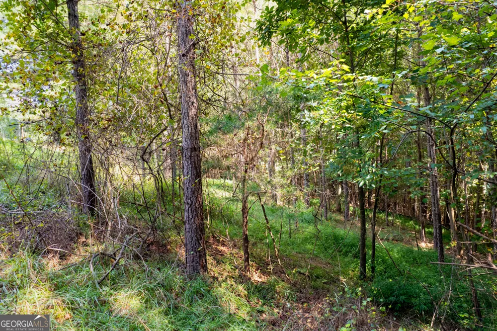 9 Foxpaw Leaf CT East Ellijay, GA 30536