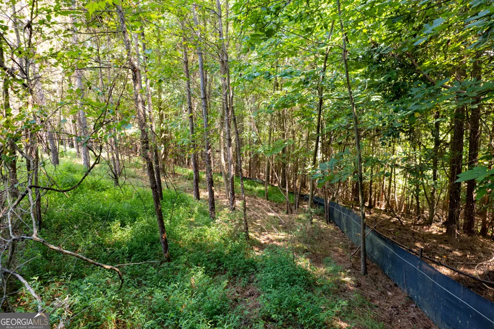 9 Foxpaw Leaf CT East Ellijay, GA 30536