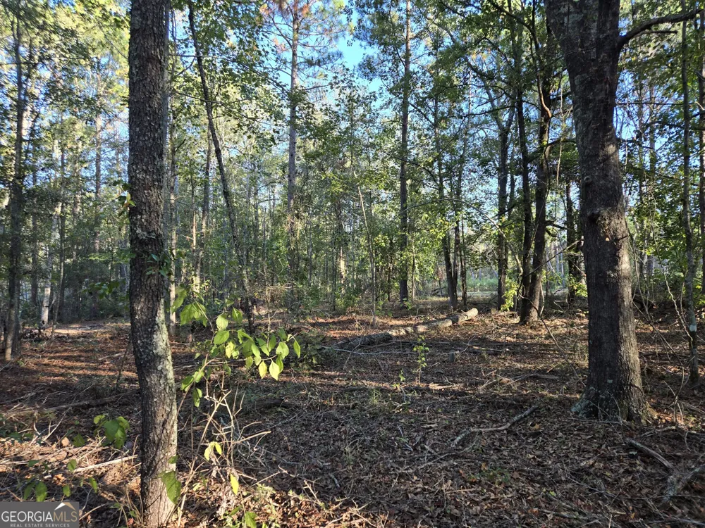 600 Alton Lawson RD Adrian, GA 31002