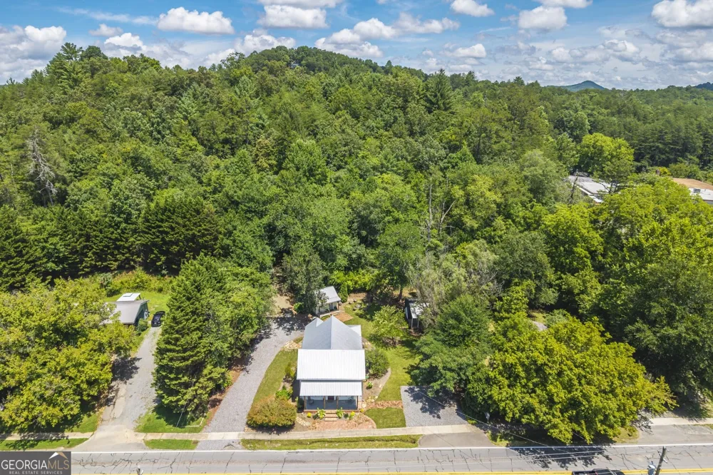 8679 Lakewood HWY Mineral Bluff, GA 30559