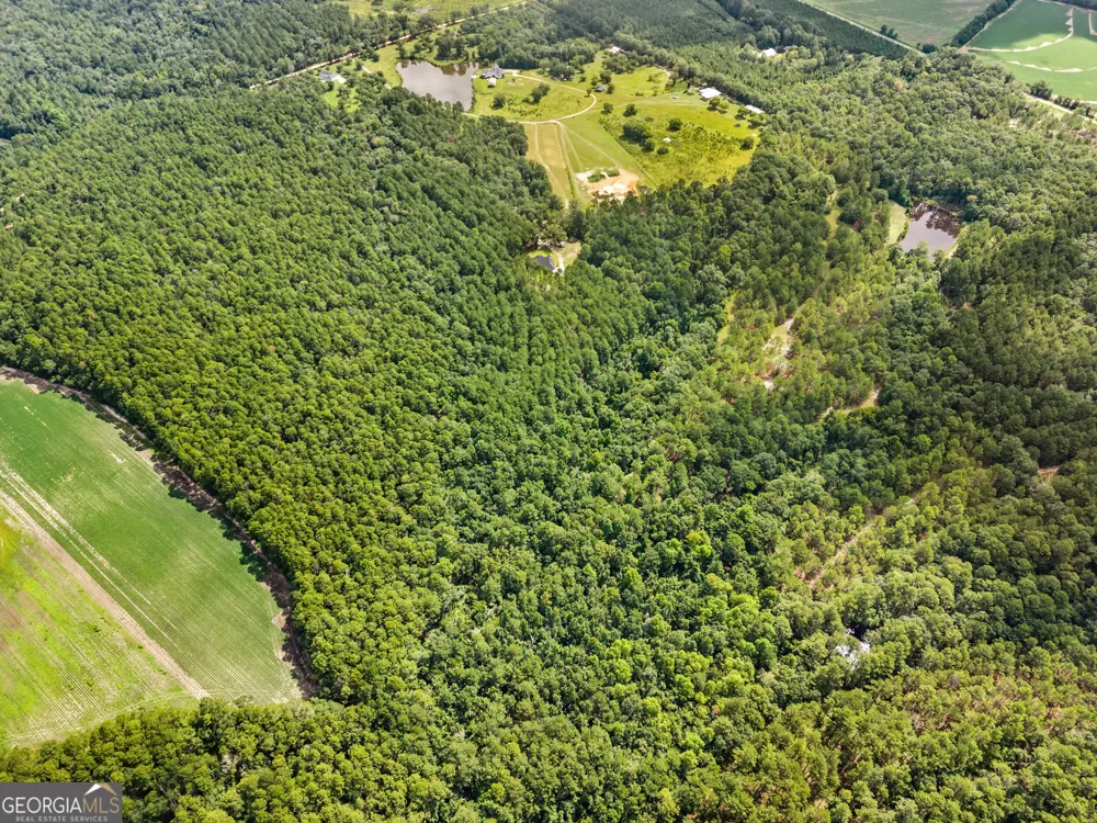 2200 Banks Dairy RD Portal, GA 30450
