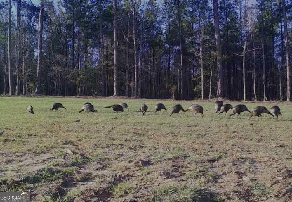 4348 Marshall Stewart RD Crawfordville, GA 30631