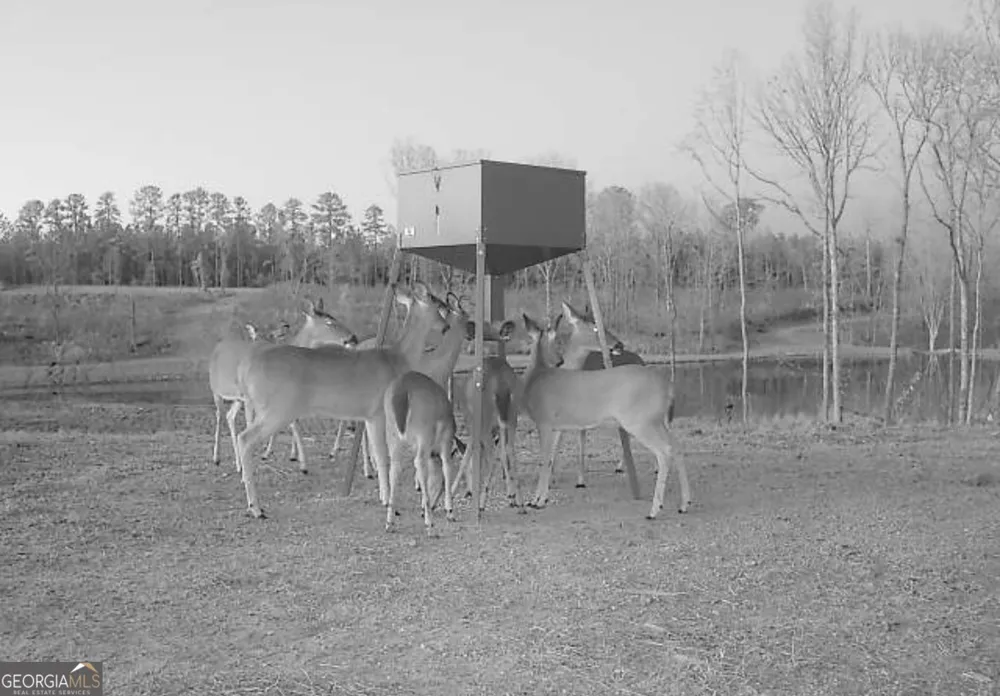4348 Marshall Stewart RD Crawfordville, GA 30631