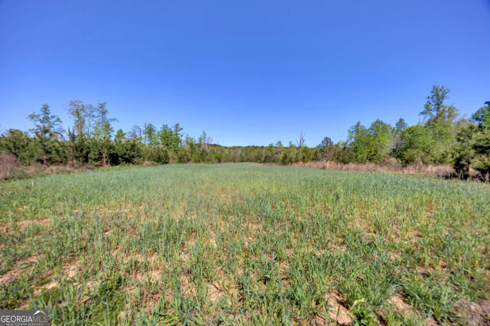 4348 Marshall Stewart RD Crawfordville, GA 30631