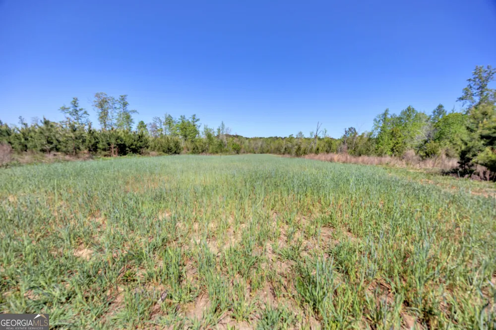 4348 Marshall Stewart RD Crawfordville, GA 30631