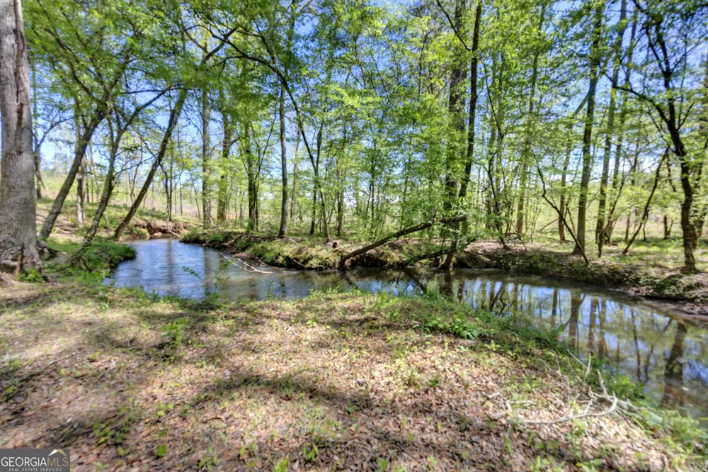 4348 Marshall Stewart RD Crawfordville, GA 30631
