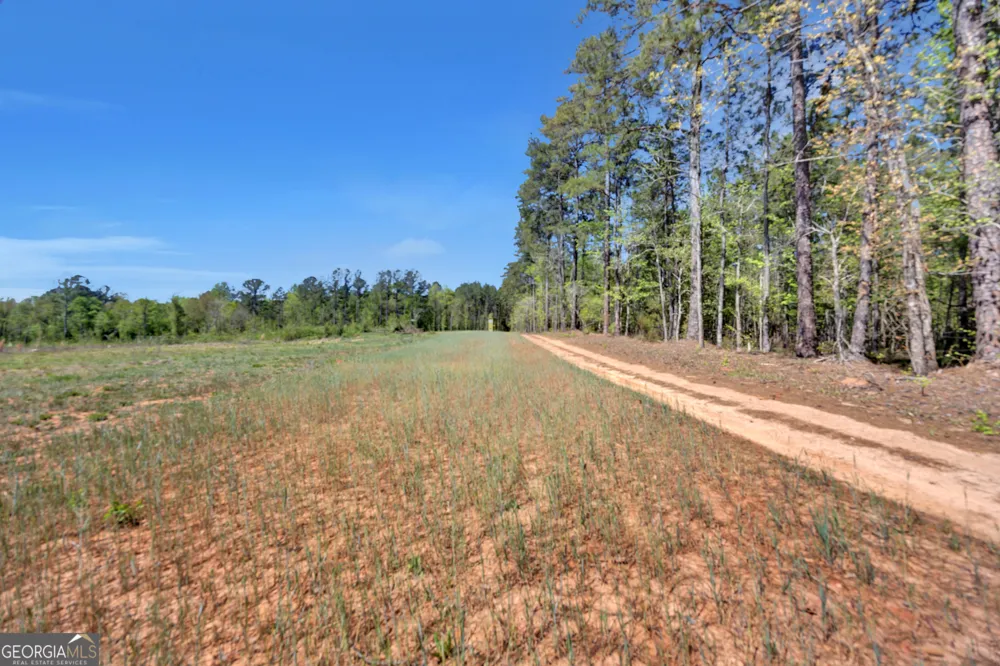 4348 Marshall Stewart RD Crawfordville, GA 30631