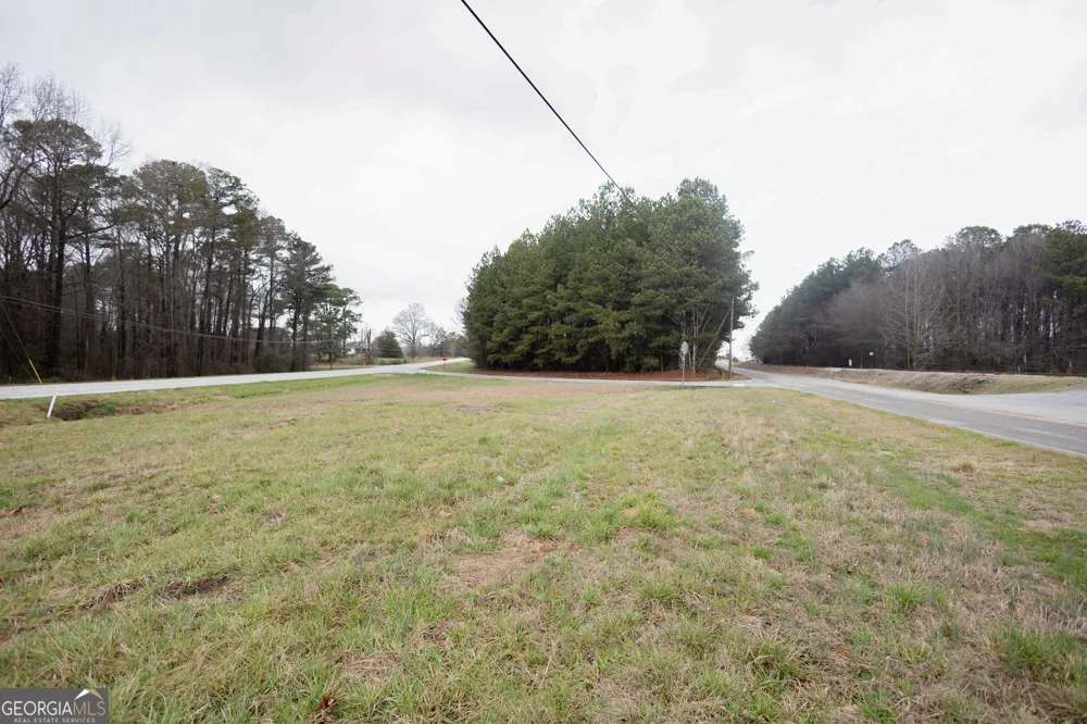 0 Hwy 17 Royston, GA 30662