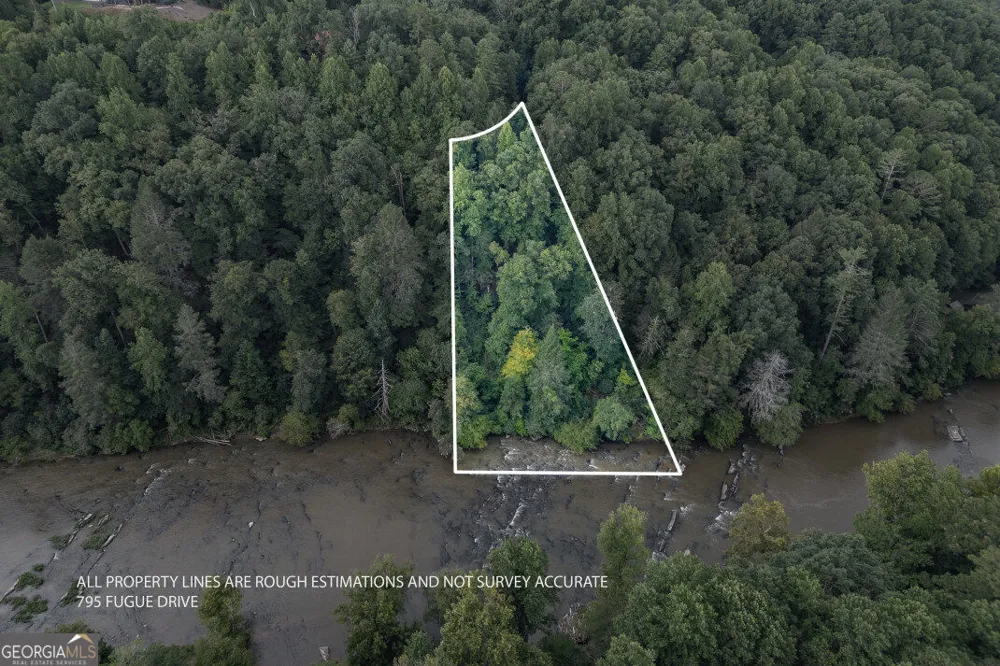 795 Fugue DR Ellijay, GA 30540