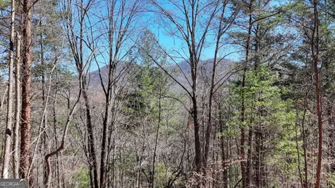 LOT 10 Firefly Ridge
