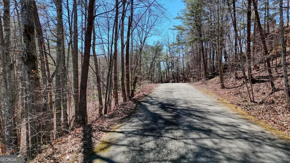 LOT 10 Firefly Ridge Blairsville, GA 30512