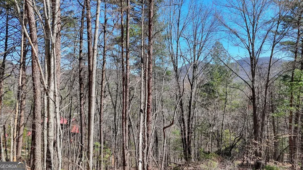 LOT 10 Firefly Ridge Blairsville, GA 30512