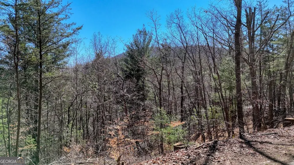 LOT 10 Firefly Ridge Blairsville, GA 30512