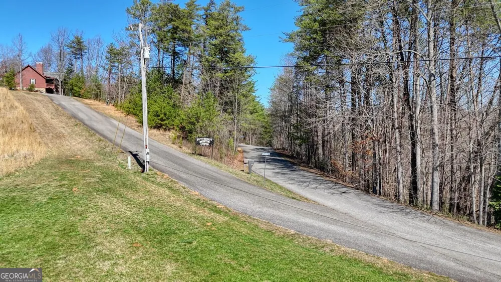 LOT 10 Firefly Ridge Blairsville, GA 30512