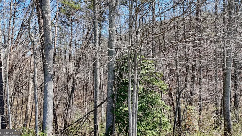 LOT 10 Firefly Ridge Blairsville, GA 30512