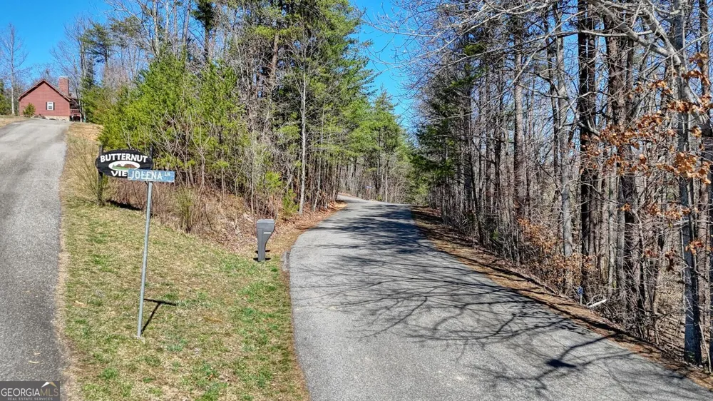 LOT 10 Firefly Ridge Blairsville, GA 30512