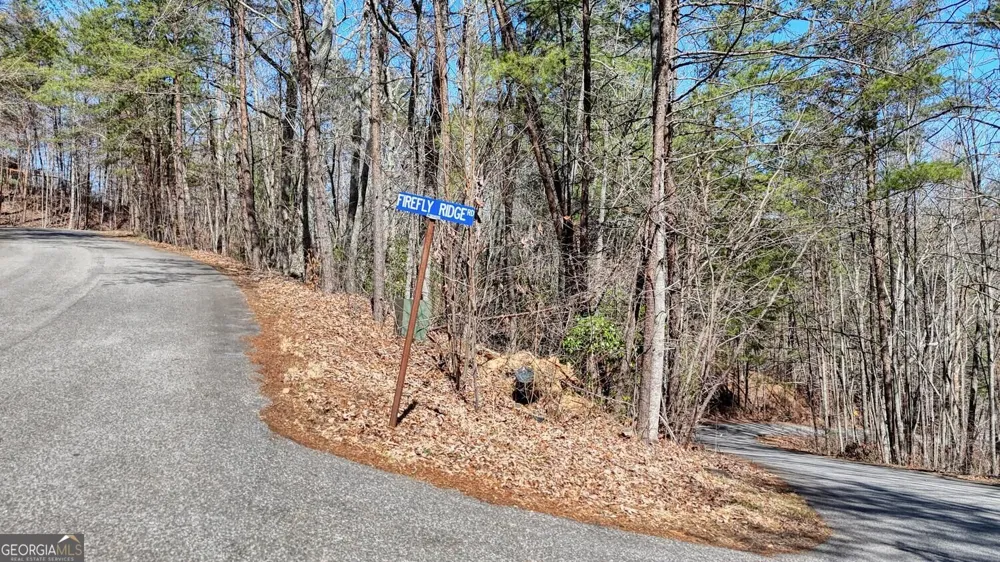 LOT 10 Firefly Ridge Blairsville, GA 30512