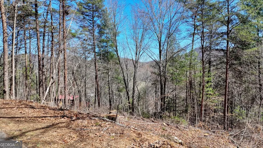 LOT 10 Firefly Ridge Blairsville, GA 30512