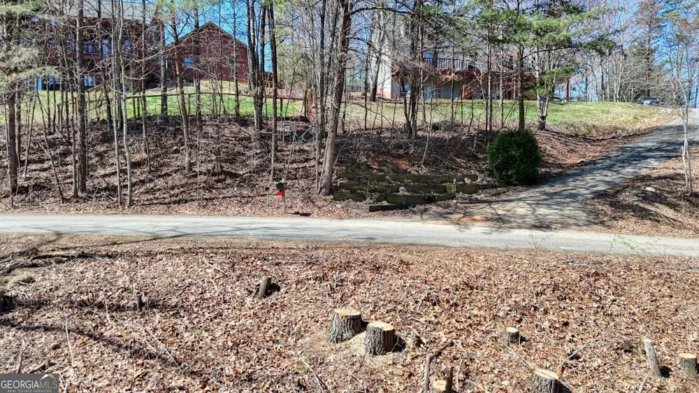 LOT 10 Firefly Ridge Blairsville, GA 30512