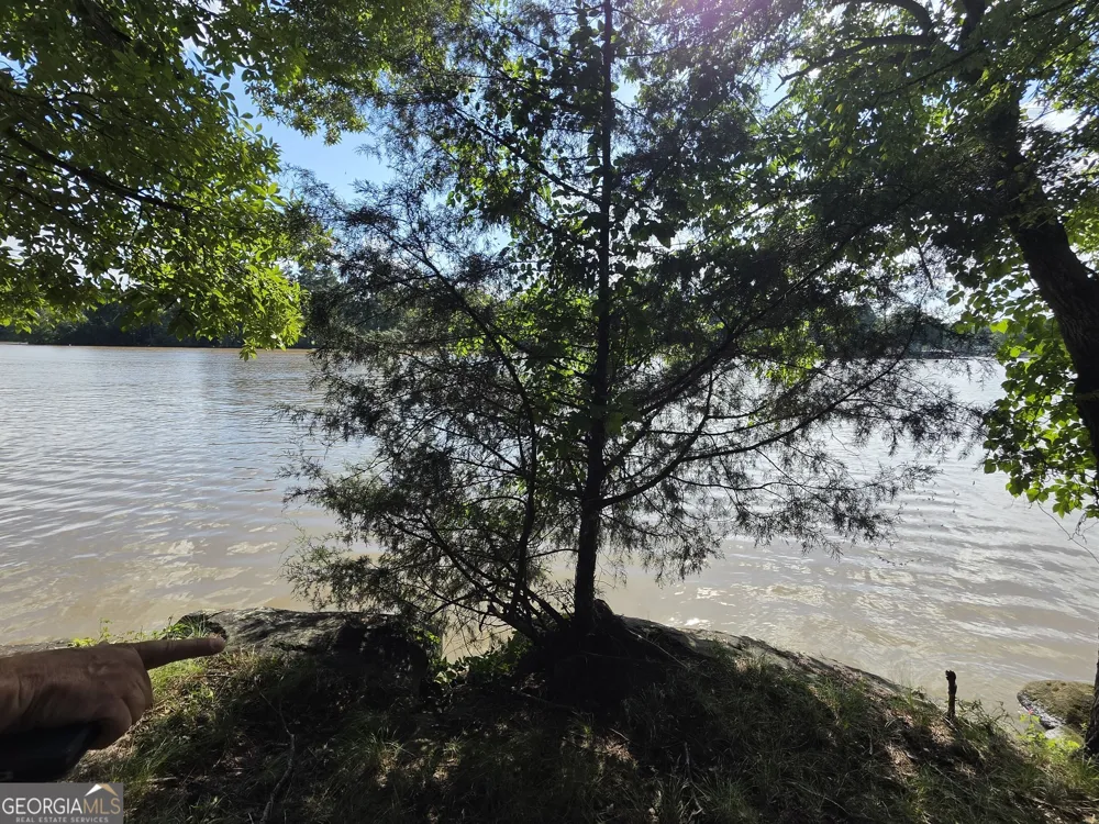 95 Lang CIR Covington, GA 30014