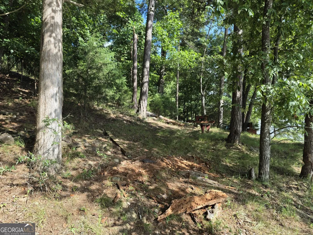 95 Lang CIR Covington, GA 30014