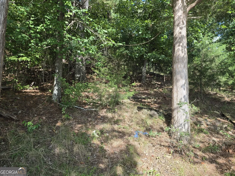 95 Lang CIR Covington, GA 30014