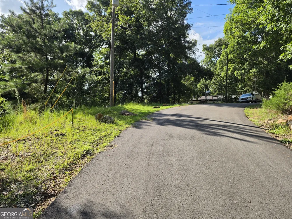 95 Lang CIR Covington, GA 30014