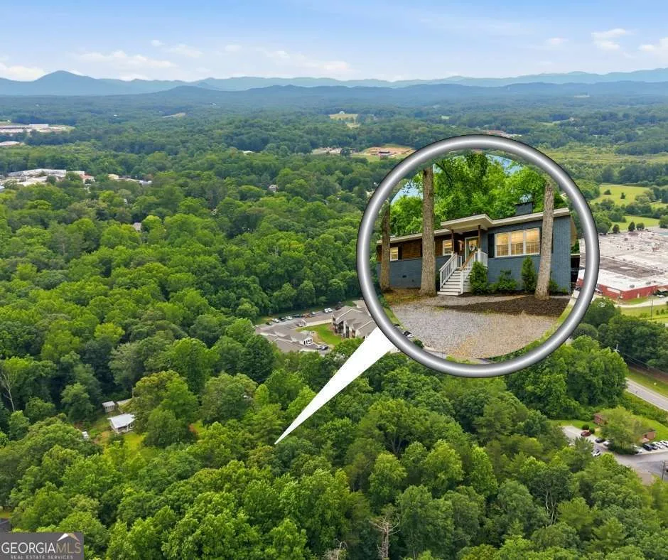 372 Gabrels DR Clarkesville, GA 30523