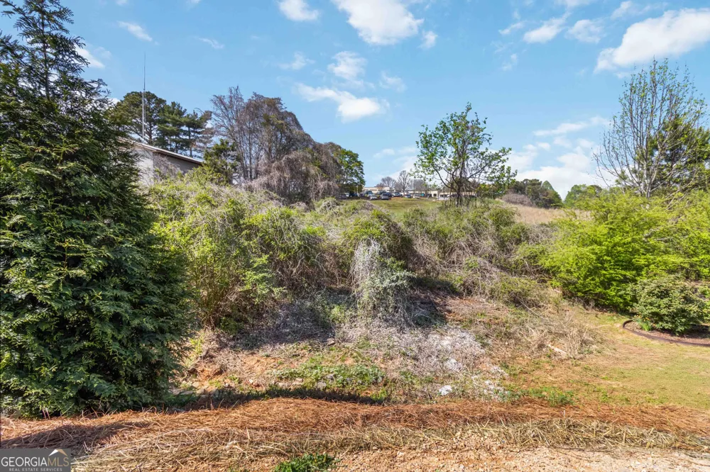 3682 Acorn DR Oakwood, GA 30566