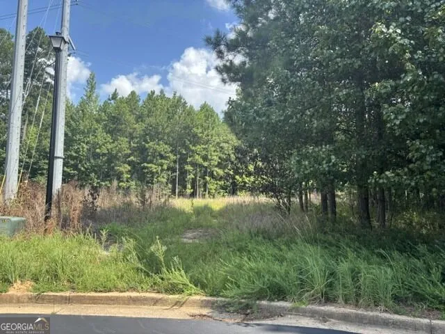 3030 Wood Valley CT Loganville, GA 30052