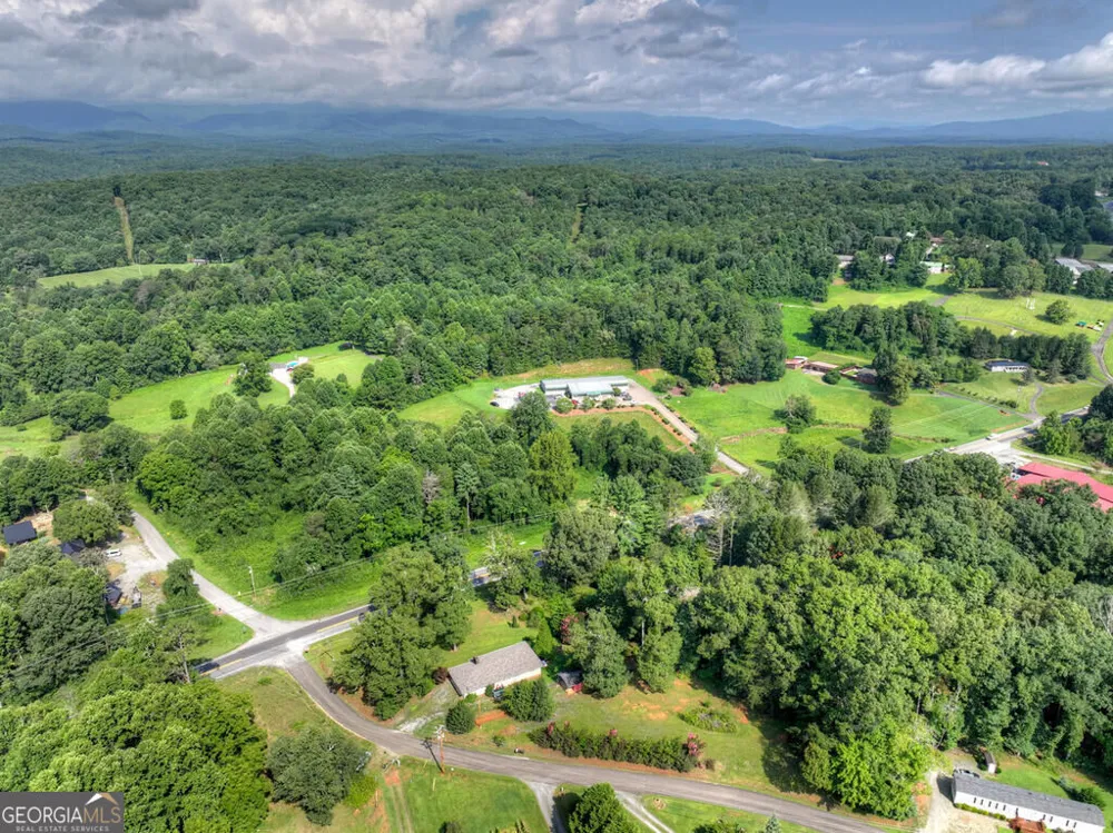 35 E Thomas RD Blue Ridge, GA 30513