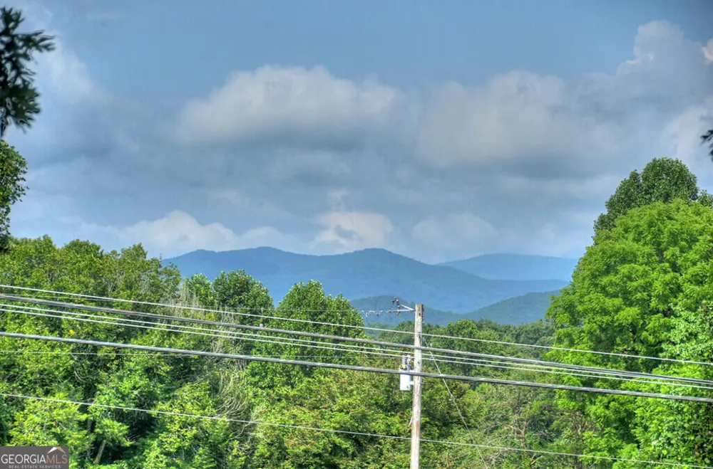 35 E Thomas RD Blue Ridge, GA 30513