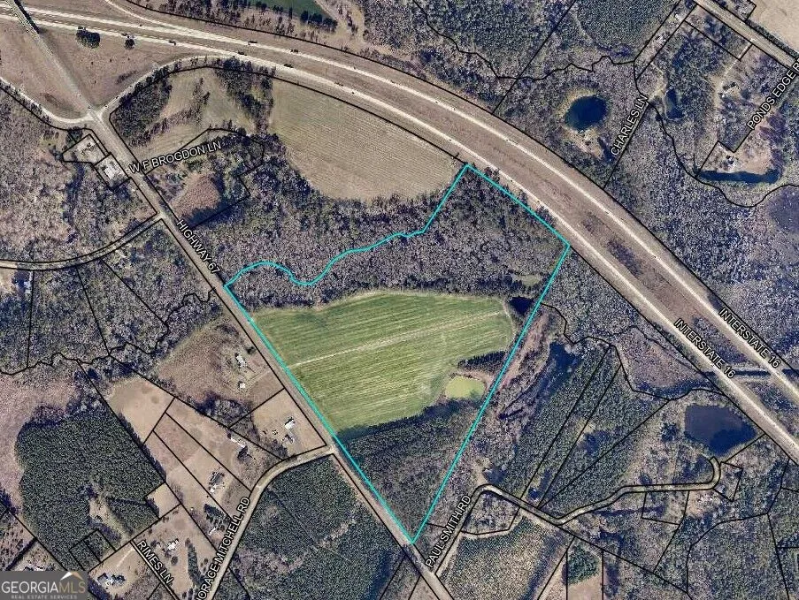 78.35 ACRES Highway 67 Brooklet, GA 30415