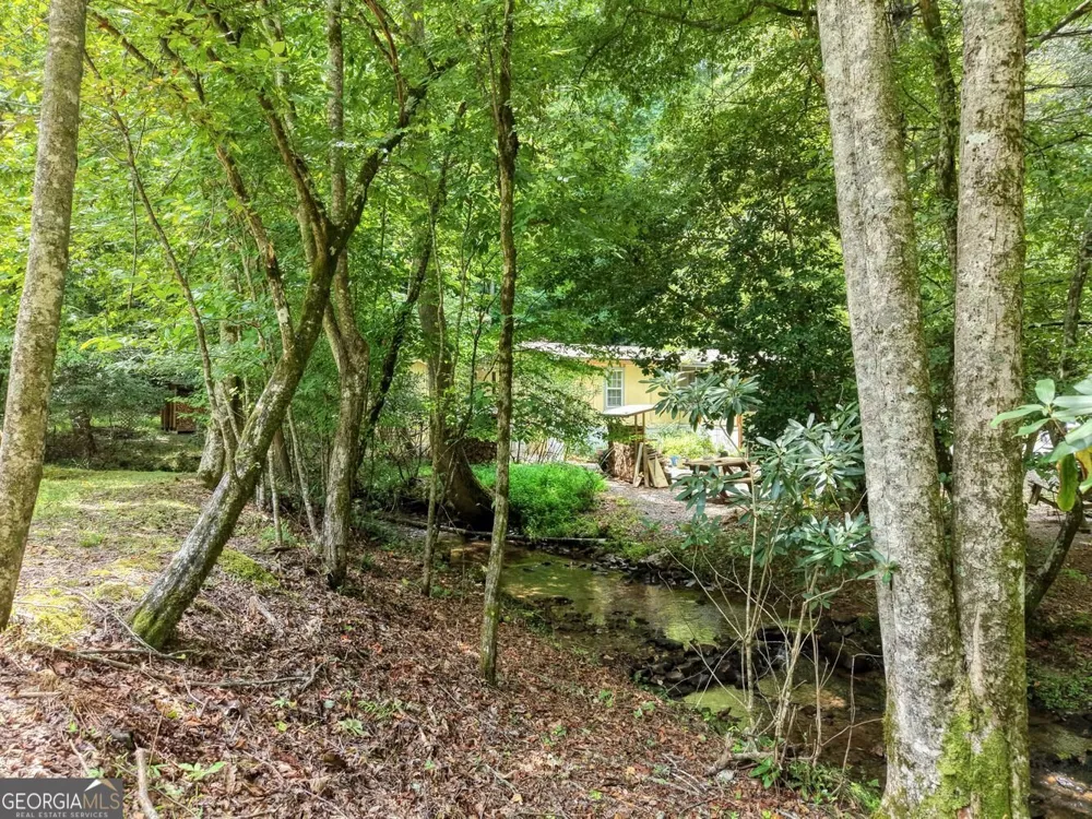 4348 White Oak DR Hiawassee, GA 30546